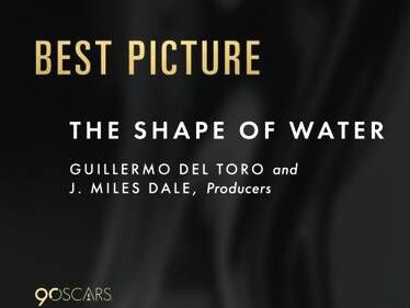 ​第90届奥斯卡最佳影片《水形物语》将于3月份在国内上映