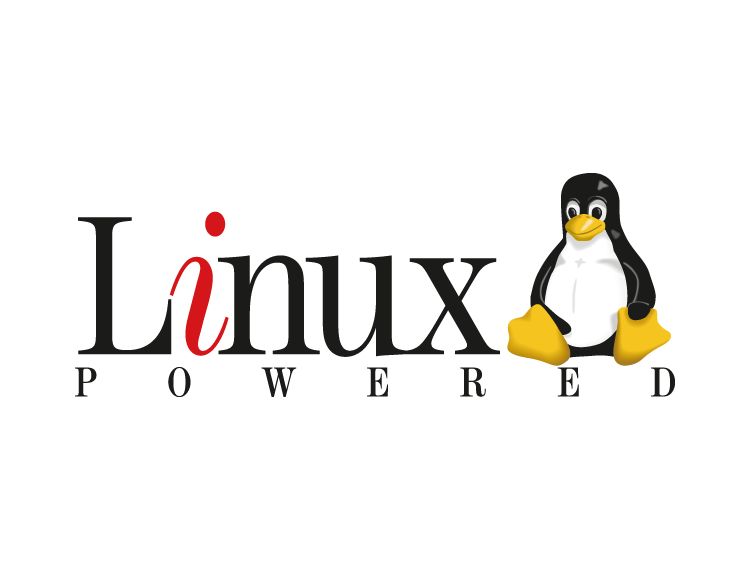Linux系统对网卡驱动模块的编译和加载