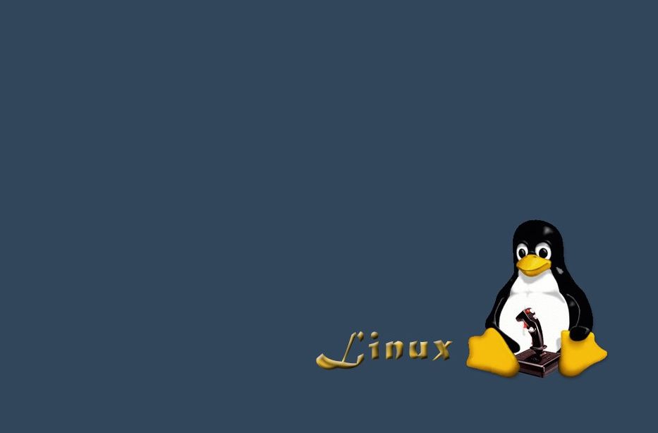 查看Linux系统网卡正在使用什么驱动程序