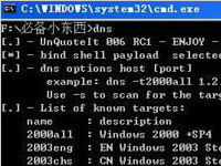 DNS EXP之路：如何利用MS07-029漏洞入侵服务器？