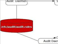 Linux Audit存在栈溢出漏洞，导致执行任意指令
